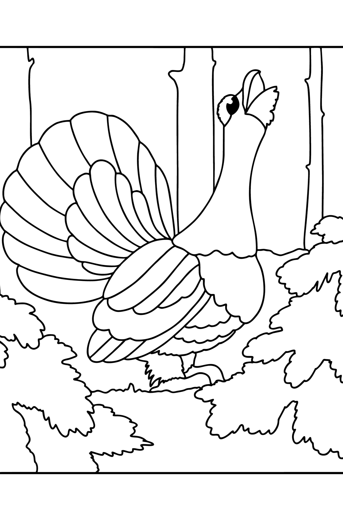 Capercaillie in the forest сoloring page - Coloring Pages for Kids