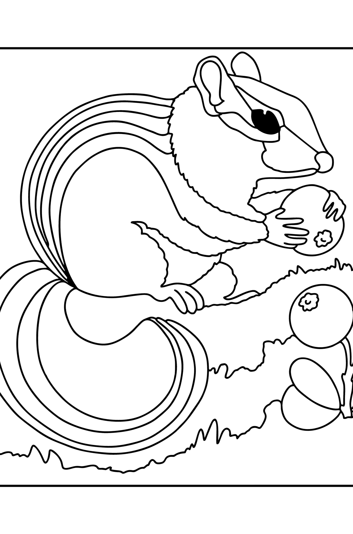 Chipmunk in the forest сoloring page - Coloring Pages for Kids