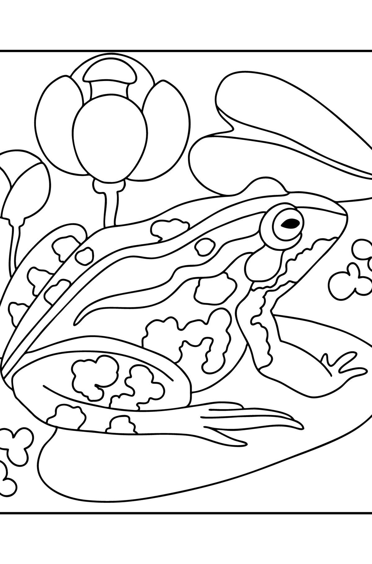 Frog on the lake сoloring page - Coloring Pages for Kids