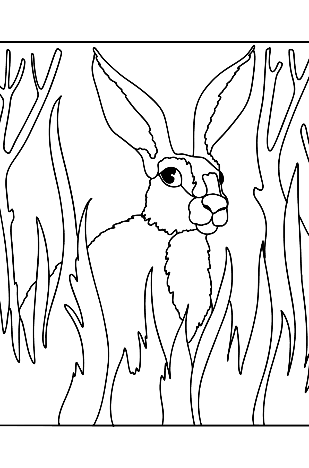 hare in the forest сoloring page - Coloring Pages for Kids