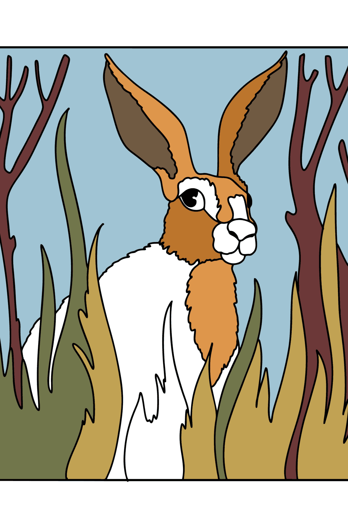 Tegning til fargelegging Hare i skogen - Tegninger til fargelegging for barn
