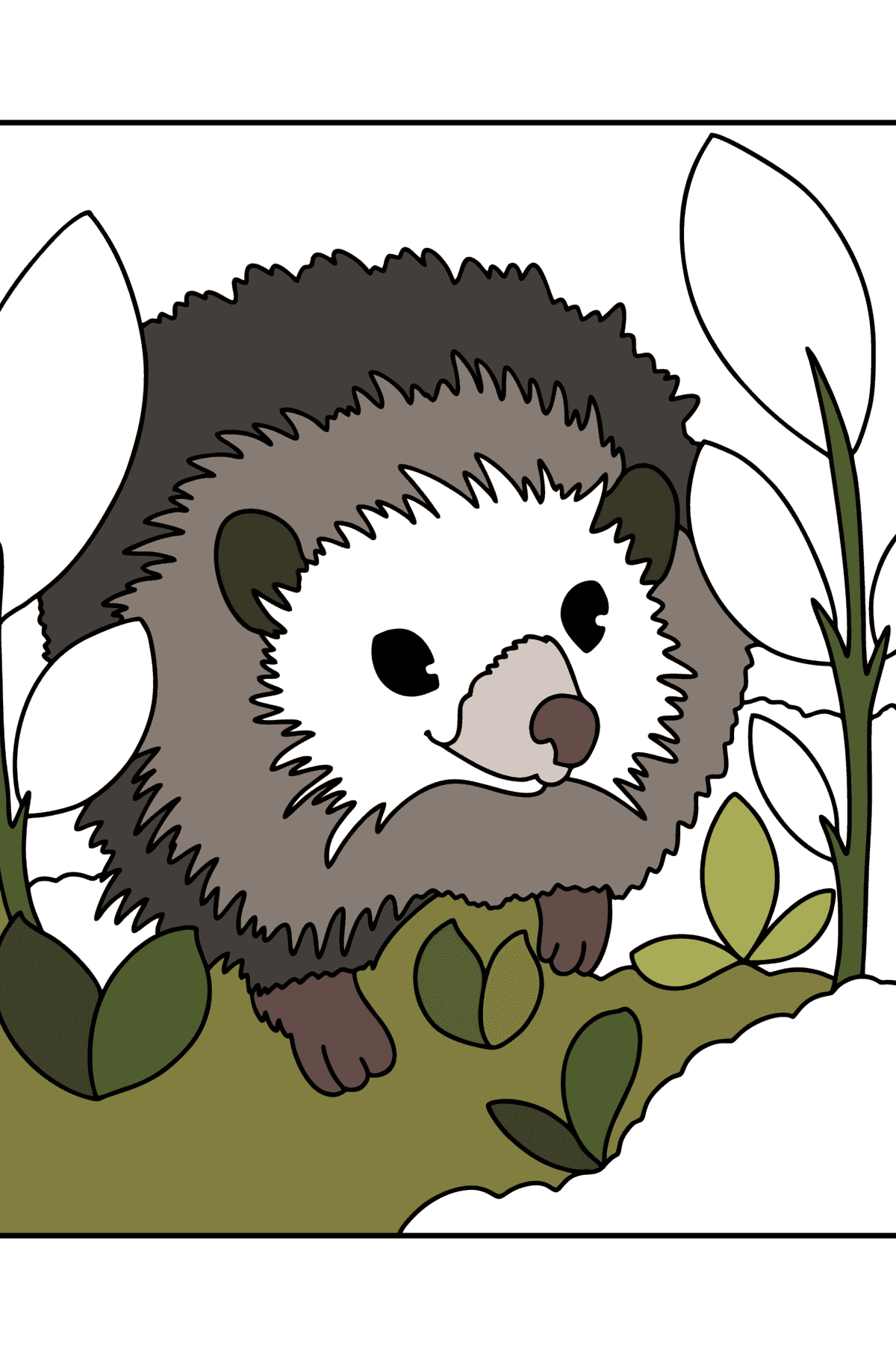 hedgehog in the forest сoloring page - Coloring Pages for Kids