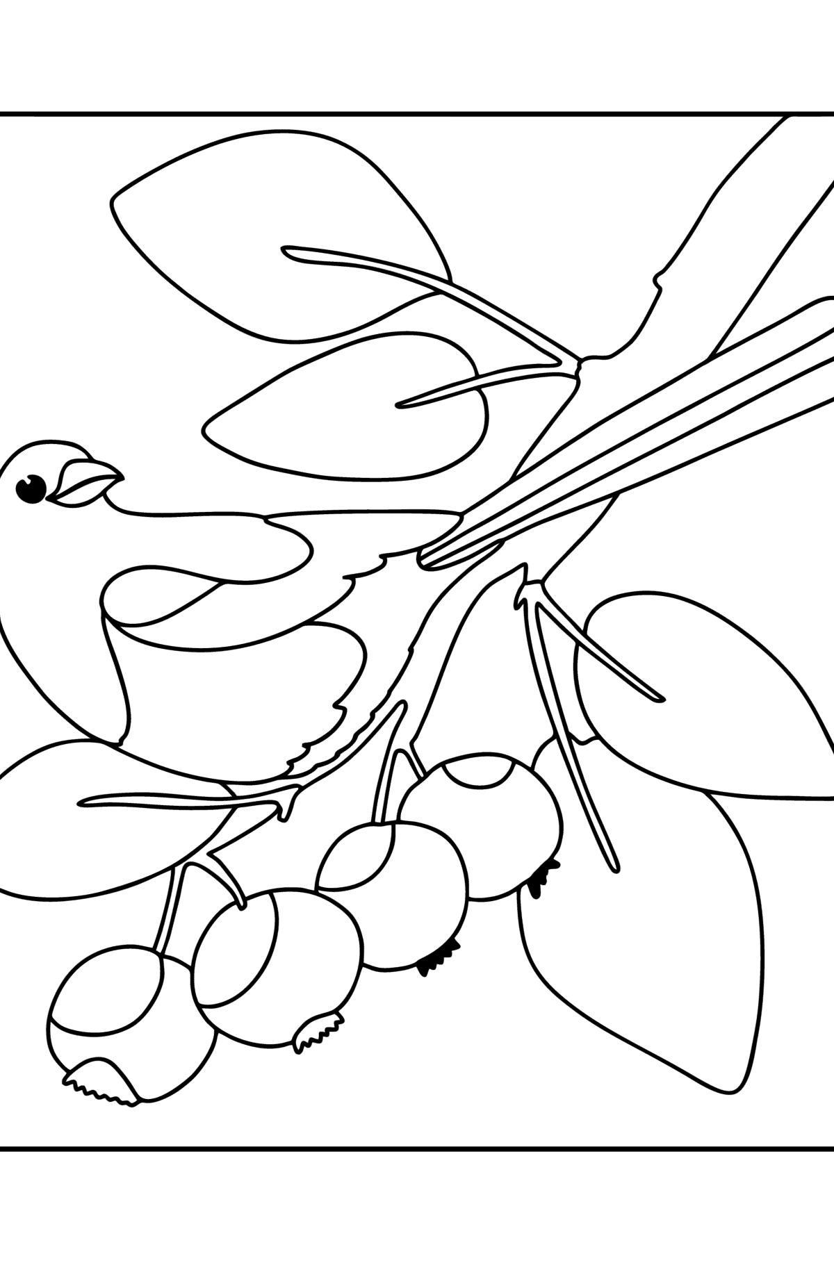 Magpie in the forest сoloring page - Coloring Pages for Kids