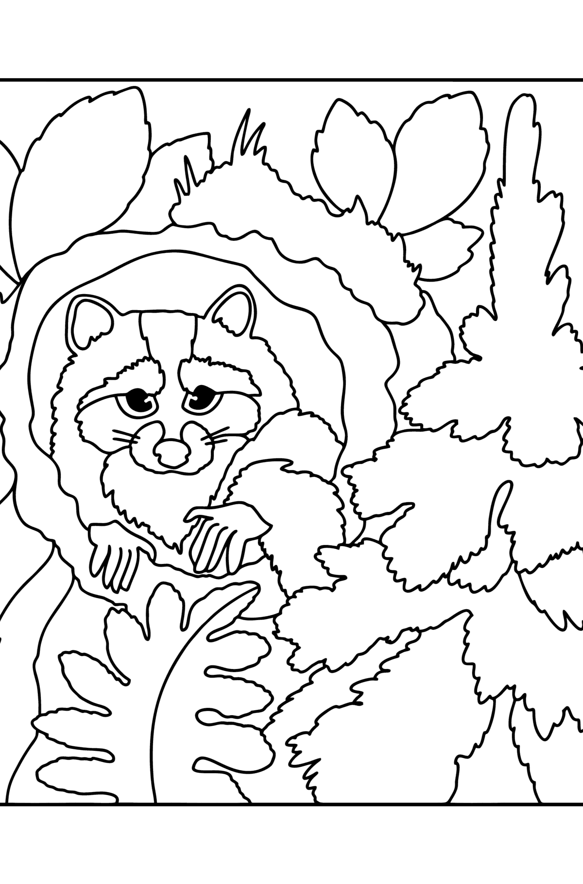 Raccoon in the forest сoloring page - Coloring Pages for Kids