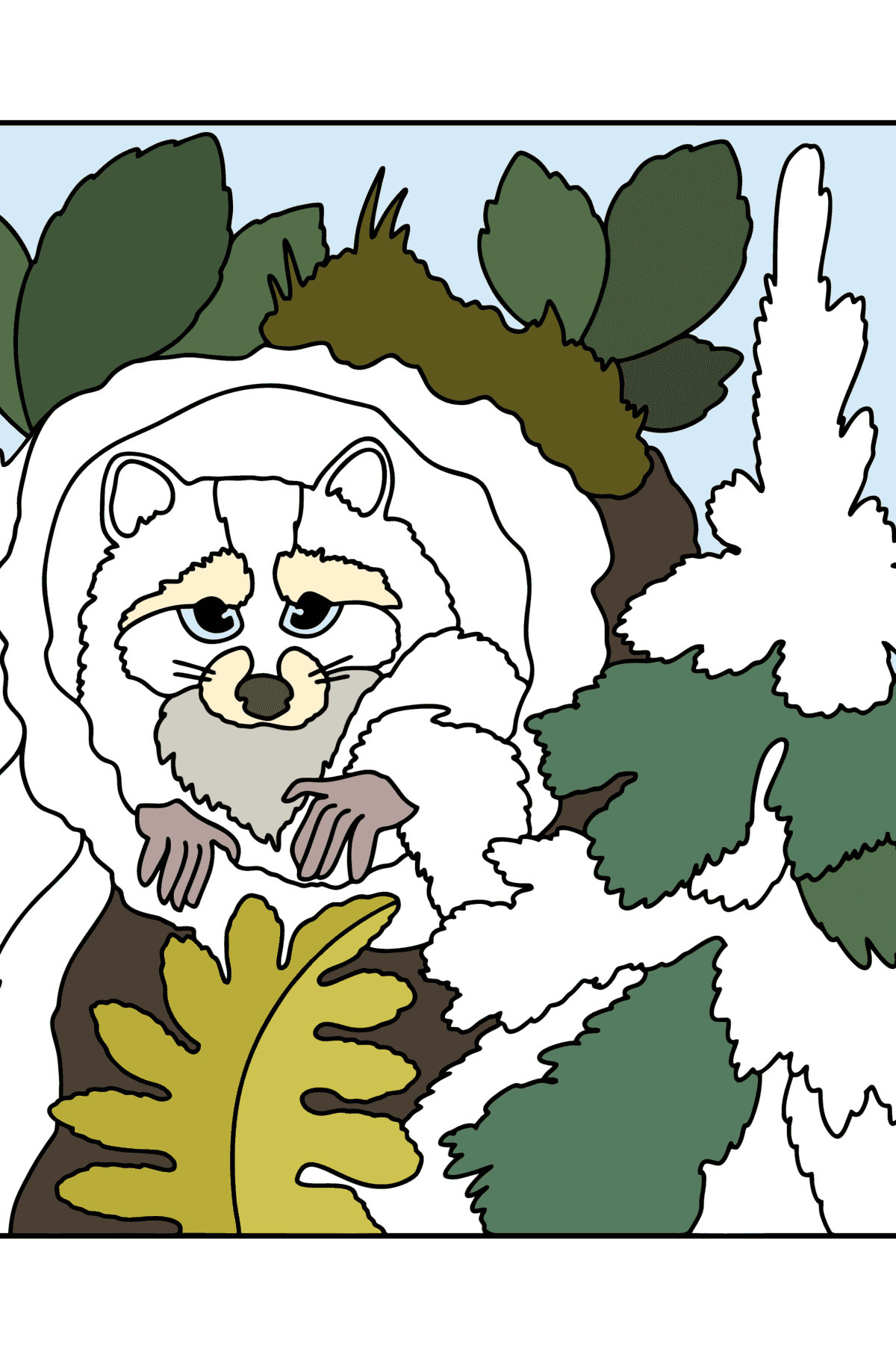 Раскраска Енот в лесу - Картинки для Детей