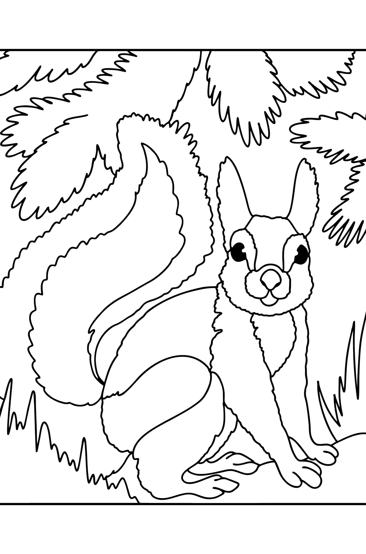 Squirrel сoloring page - Coloring Pages for Kids