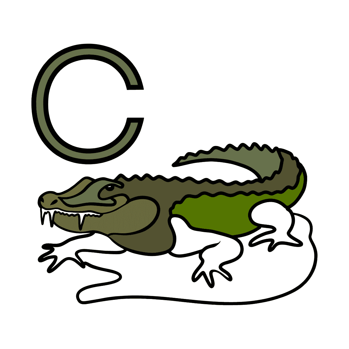 NUEVO
