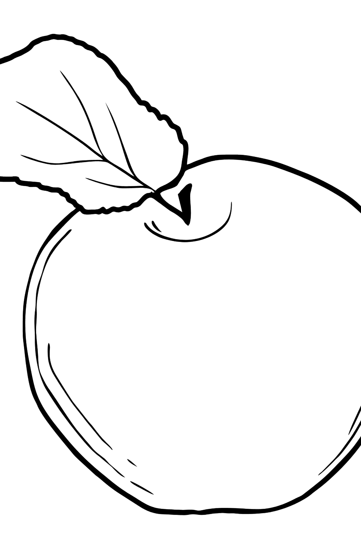 Apple coloring page - Coloring Pages for Kids