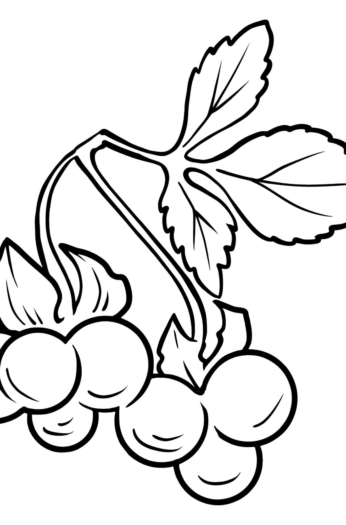 Blackberry coloring page - Coloring Pages for Kids