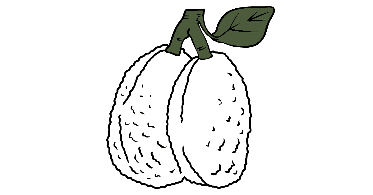 Desenho de Fruta-pão para colorir  Desenhos para colorir e imprimir gratis