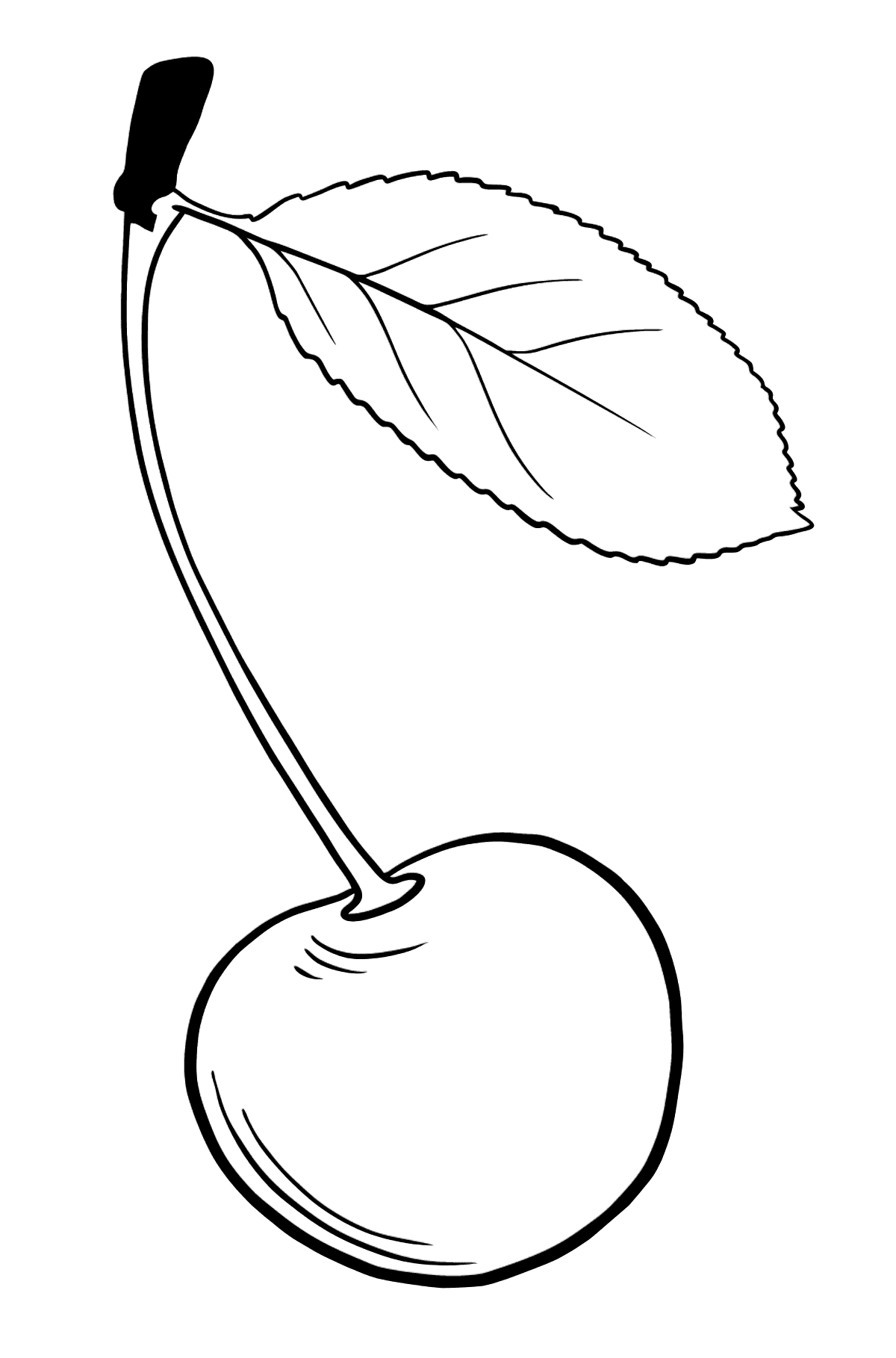 Cherry coloring page - Coloring Pages for Kids