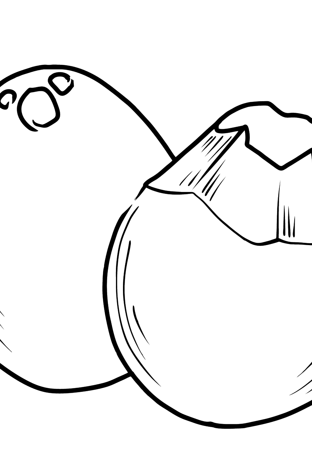 Coconut coloring page - Coloring Pages for Kids
