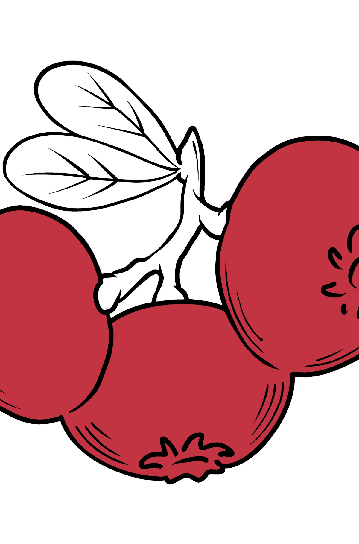 Cranberry coloring page - Coloring Pages for Kids