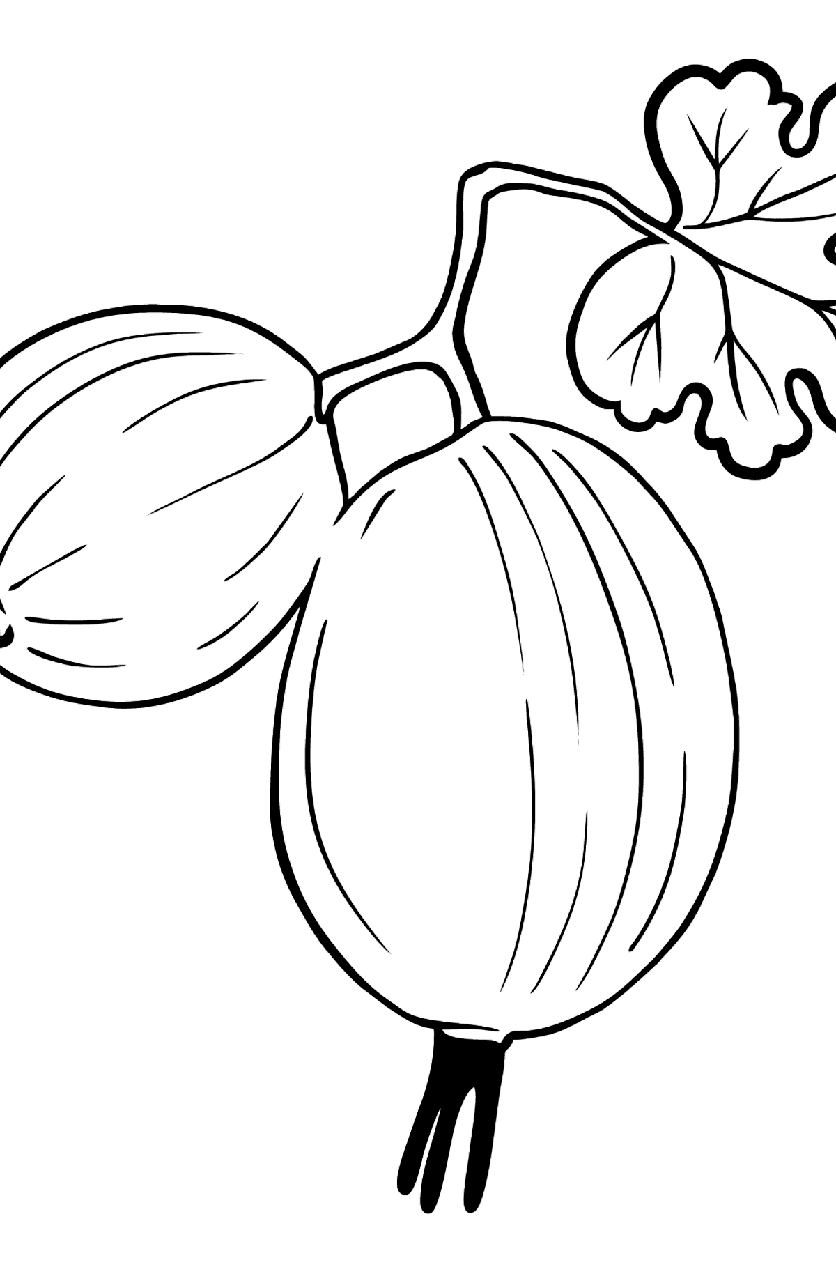 Gooseberry coloring page - Coloring Pages for Kids