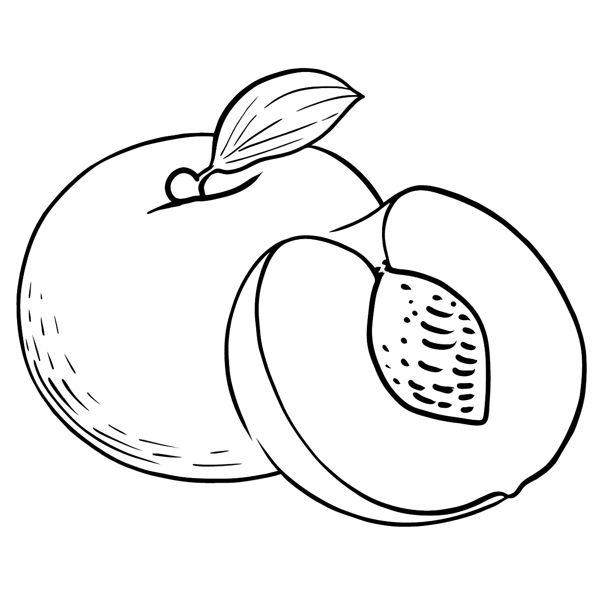 Раскраска фрукты персик