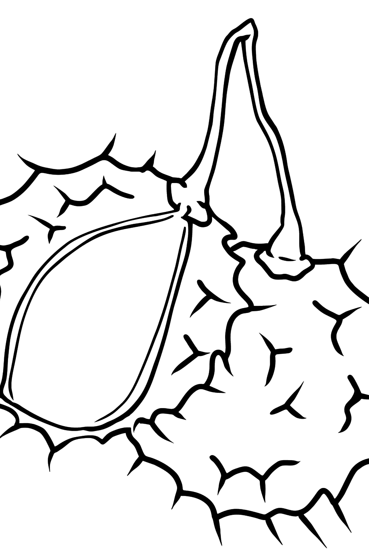 Rambutan coloring page - Coloring Pages for Kids