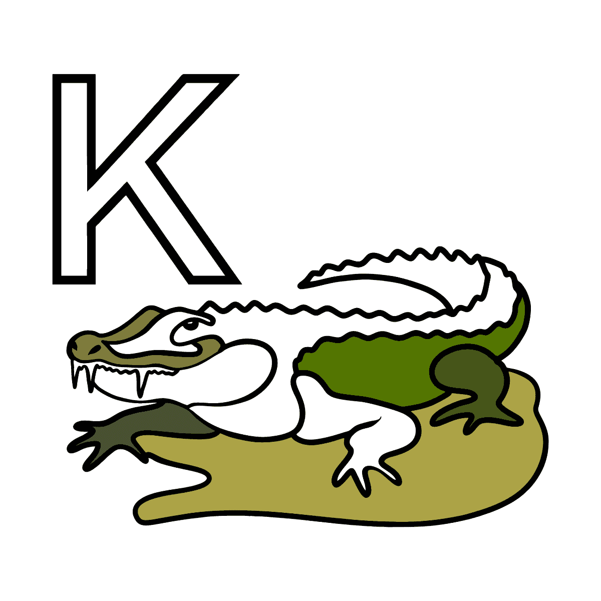 NUEVO