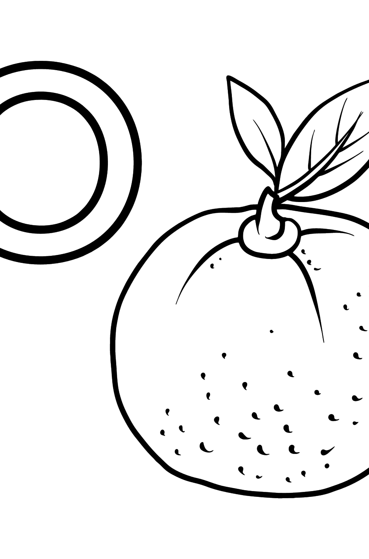 German Letter O coloring pages - ORANGE - Coloring Pages for Kids