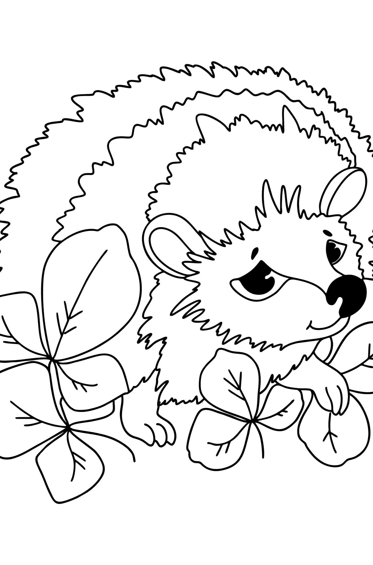 Cute hedgehog сoloring page - Coloring Pages for Kids