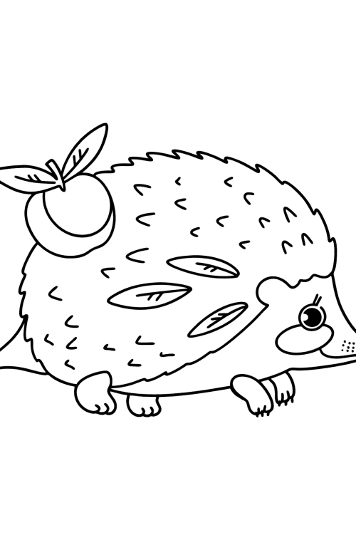 Hedgehog for kids сoloring page ♥ Online and Print for Free!