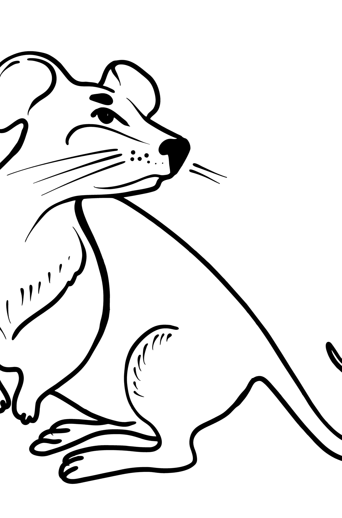 Розмальовка миша - Розмальовки для дітей