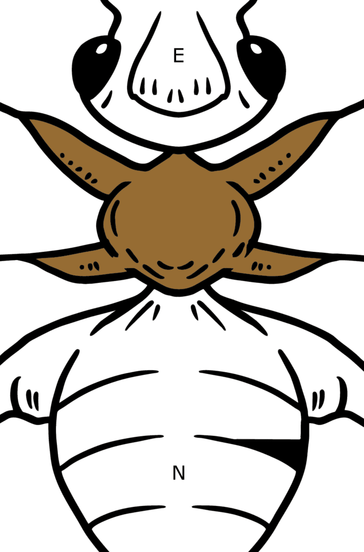 Disegno di formica da colorare per bambini - Colorare per lettere per bambini