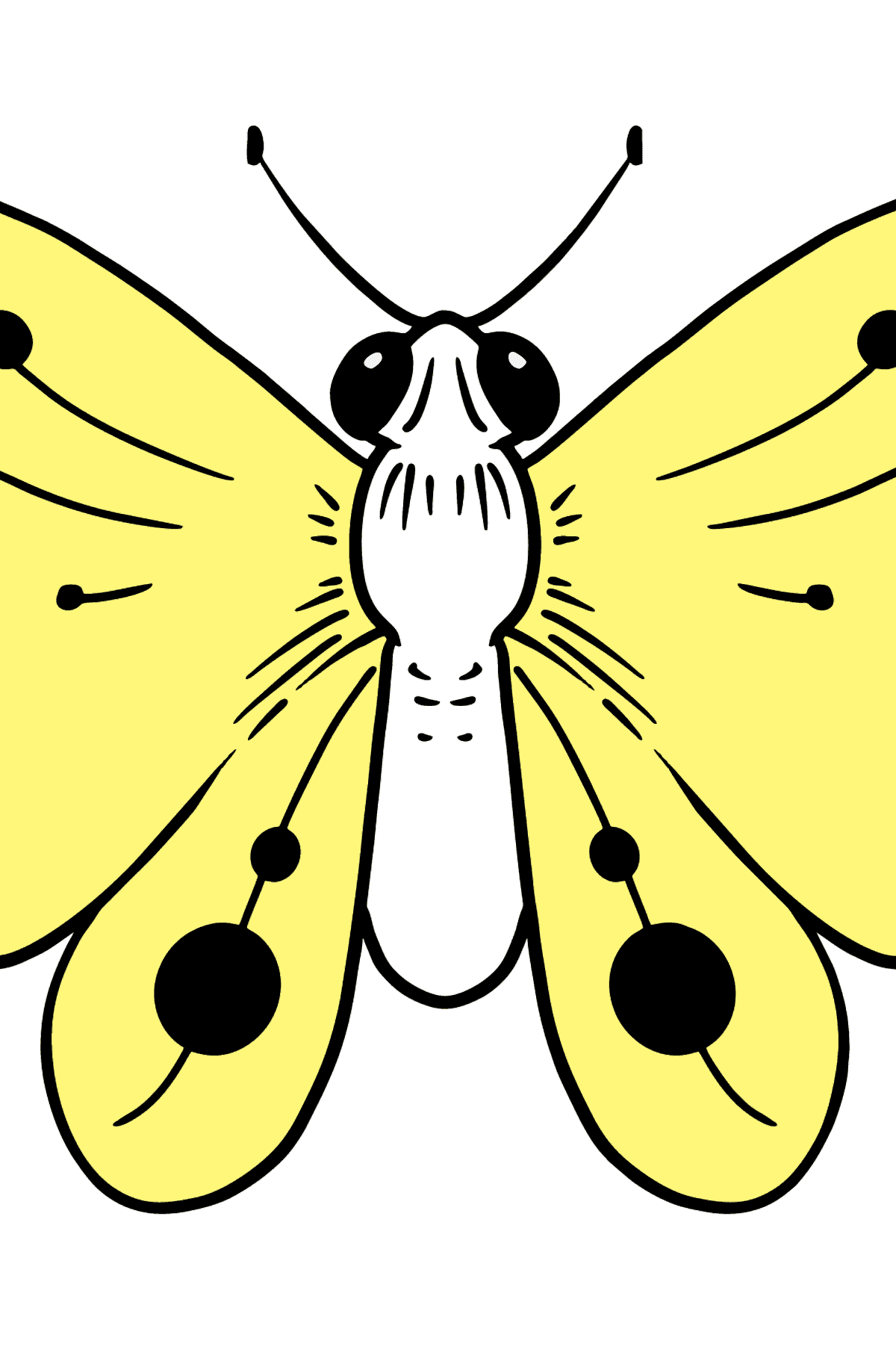 Раскраска Бабочка - Картинки для Детей