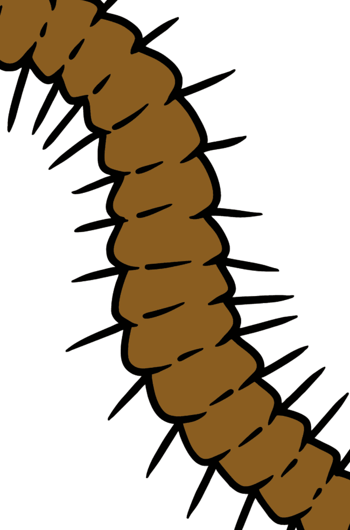 Centipede coloring page - Coloring by Letters for Kids