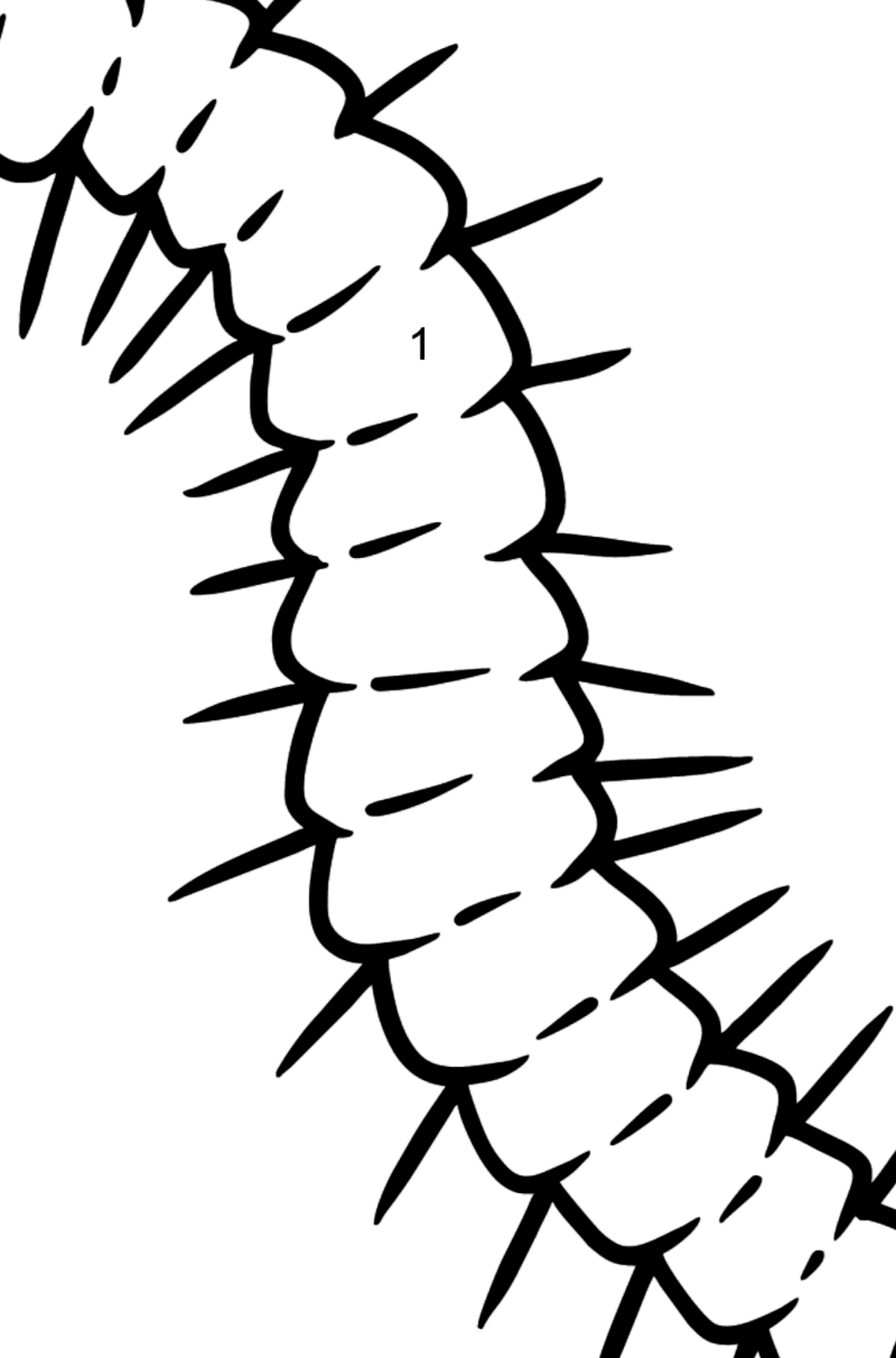 Centipede coloring page - Coloring by Numbers for Kids