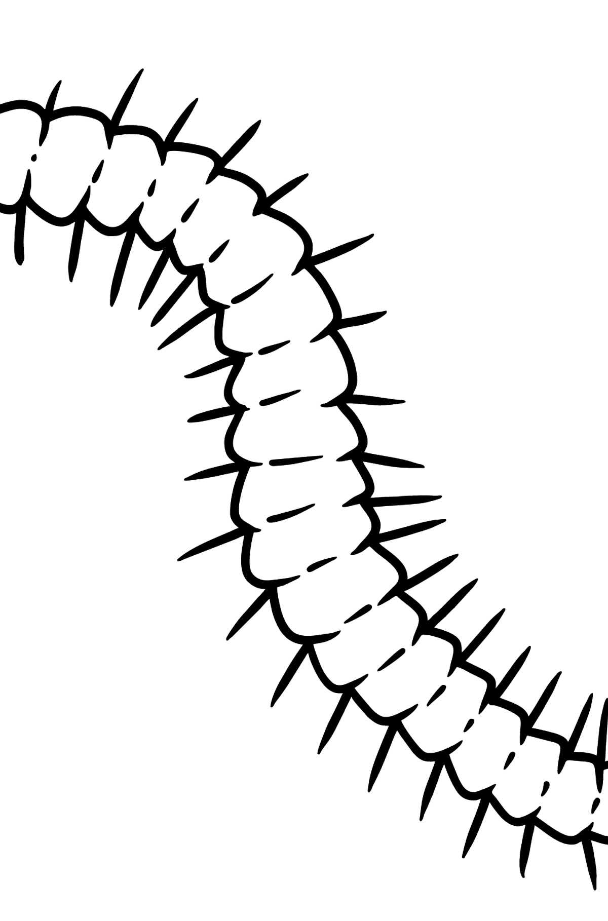 Centipede coloring page - Coloring Pages for Kids