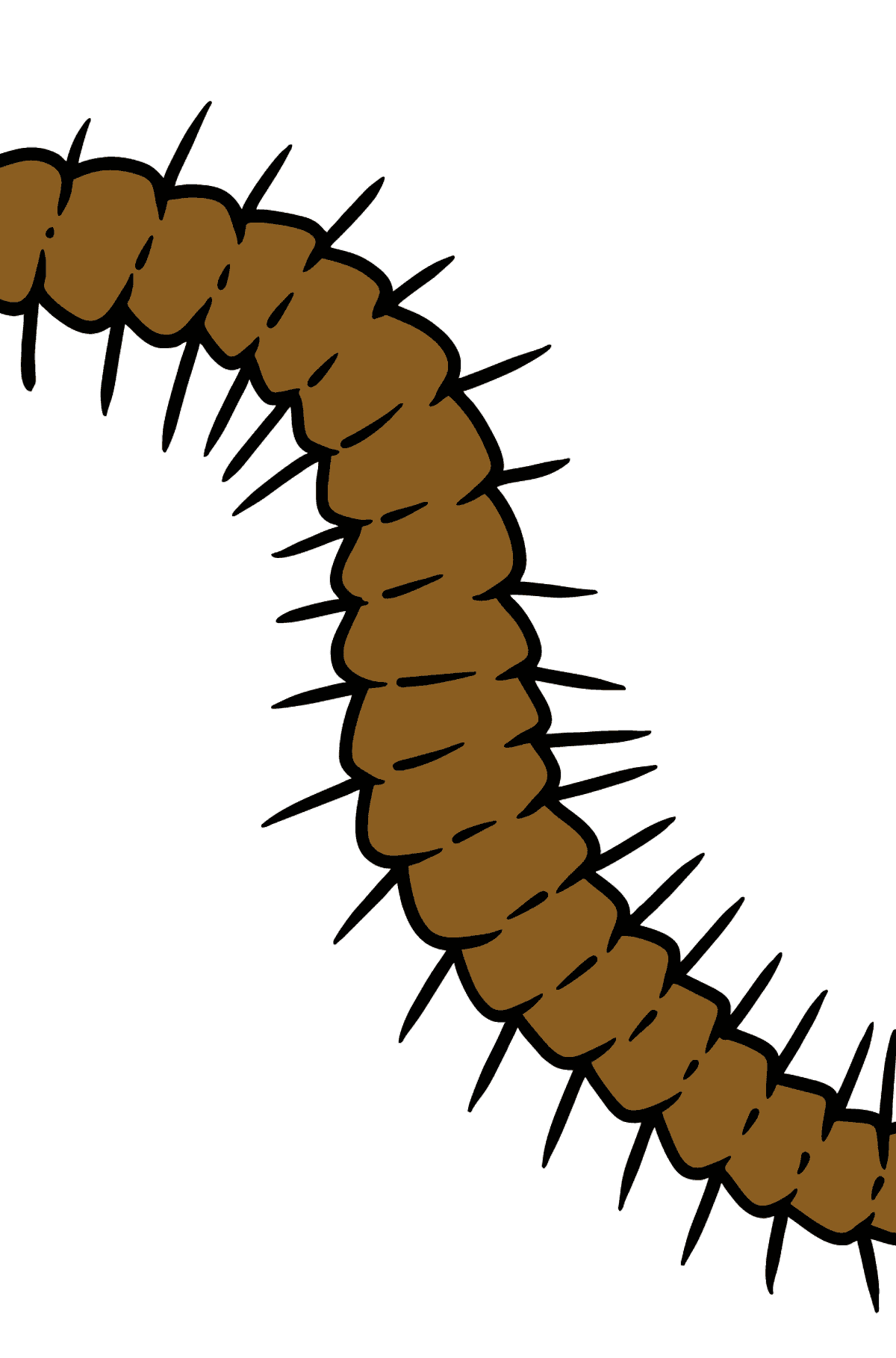 Centipede coloring page - Coloring Pages for Kids