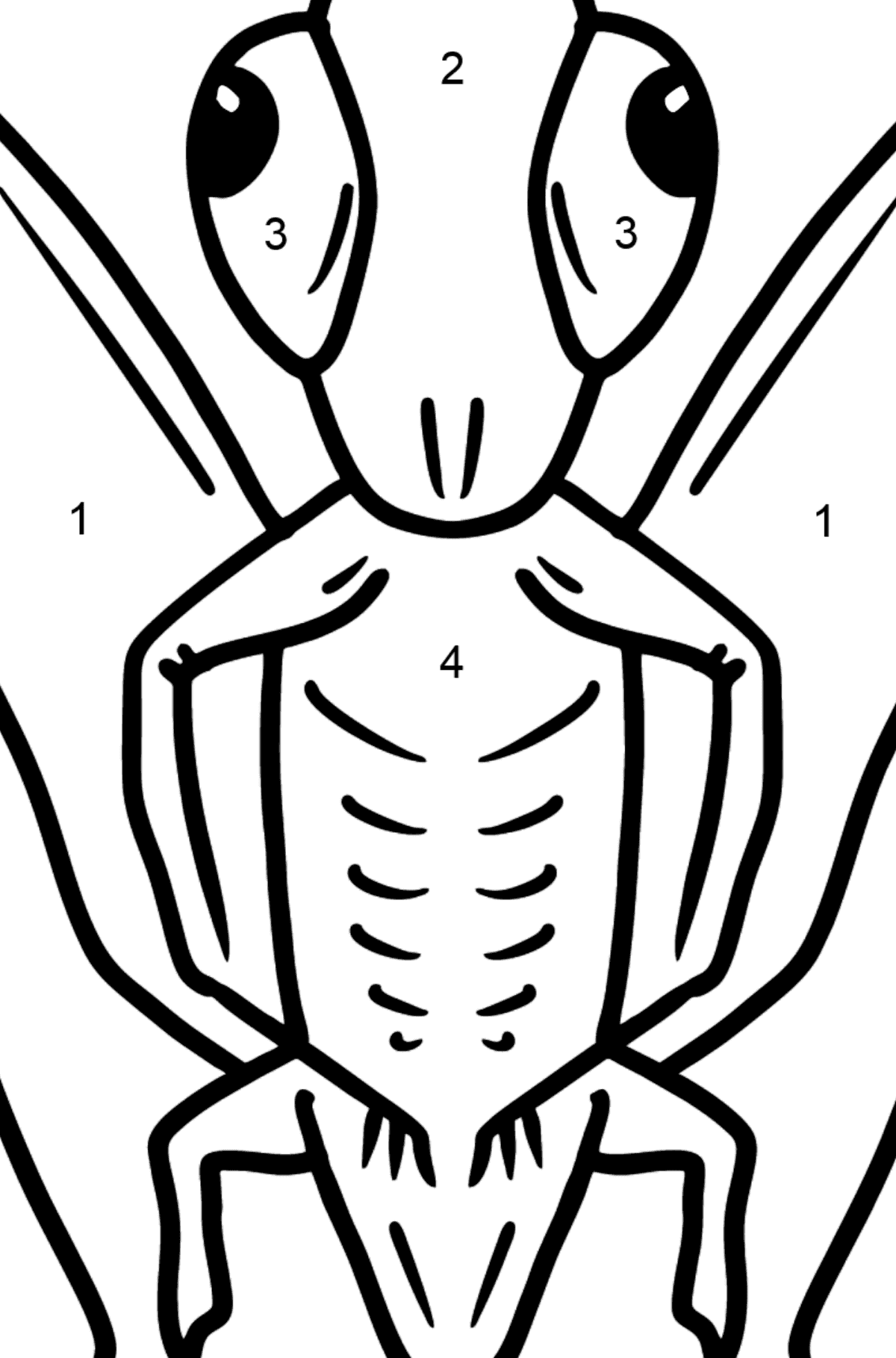 Grasshopper coloring page - Coloring by Numbers for Kids