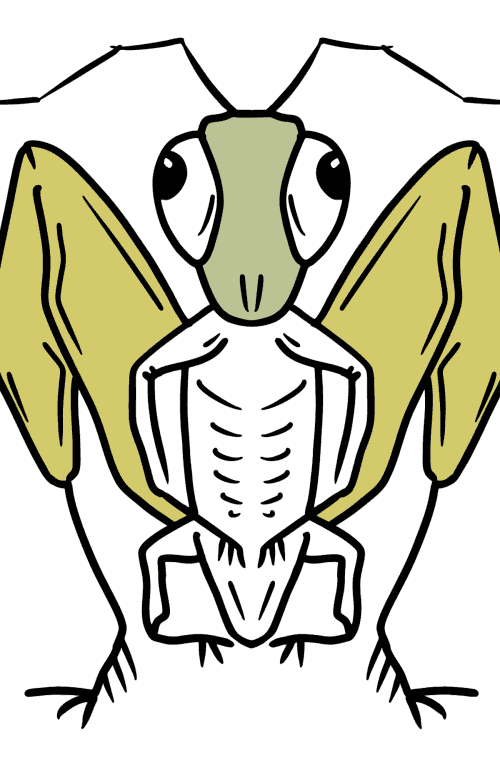 Centipede coloring page ♥ Print and Online Free!