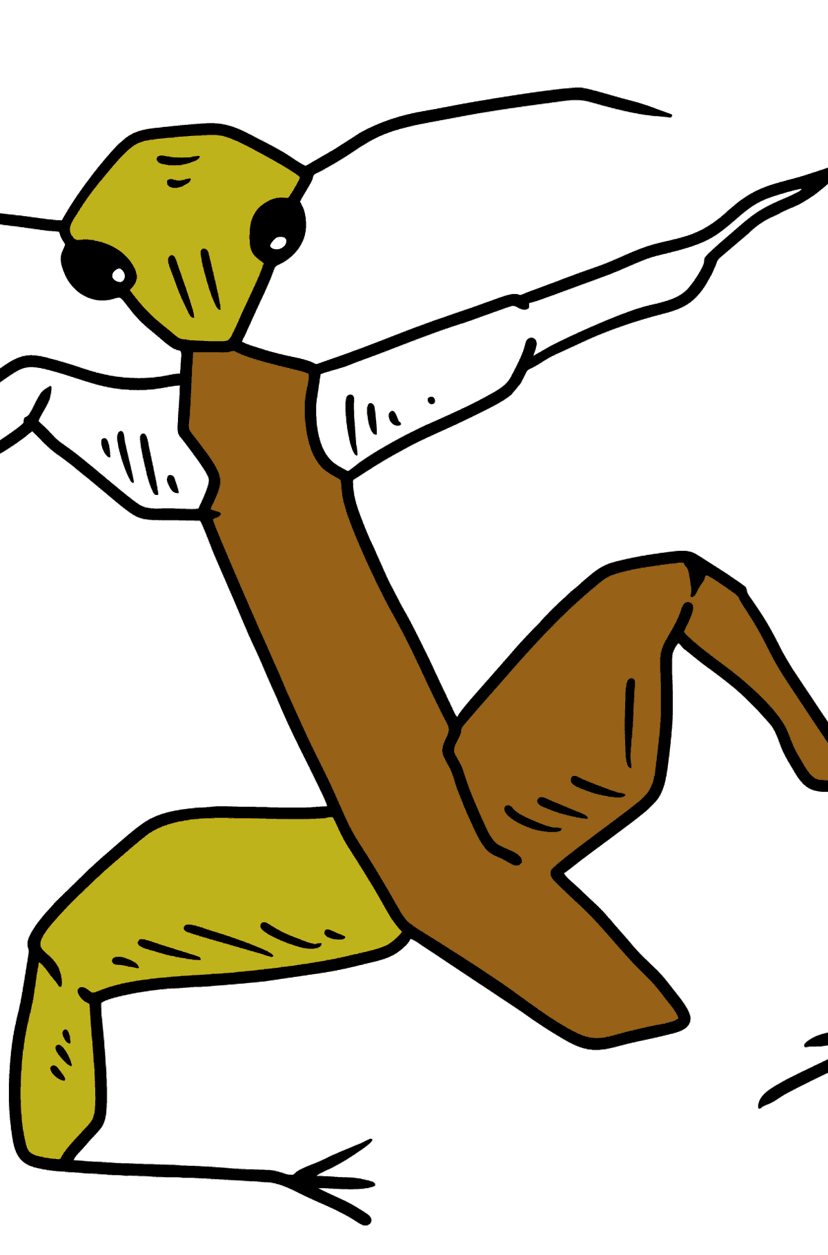 Desen de colorat insectă stick - Desene de colorat pentru copii