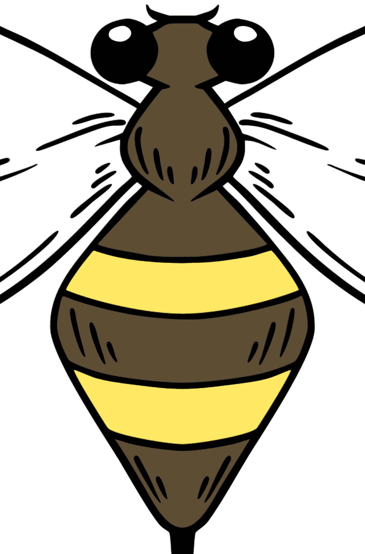 Wasp coloring page - Coloring by Symbols for Kids