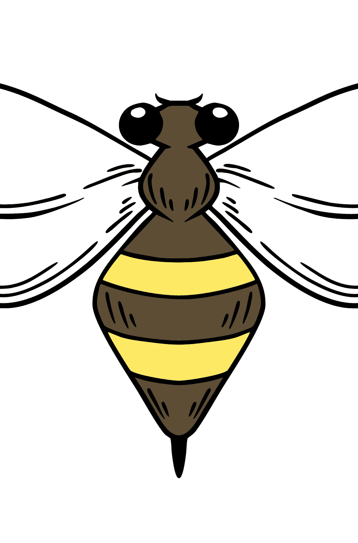 Wasp coloring page - Coloring Pages for Kids