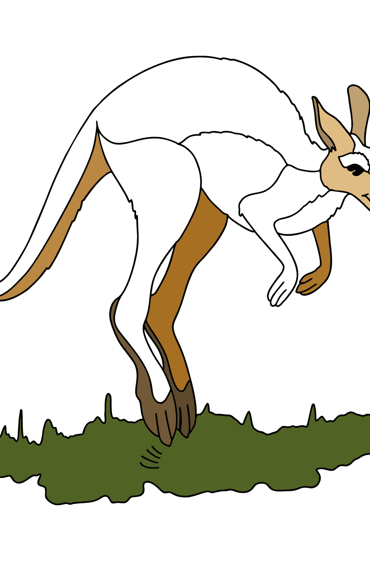Jumping Kangaroo coloring page - Coloring Pages for Kids