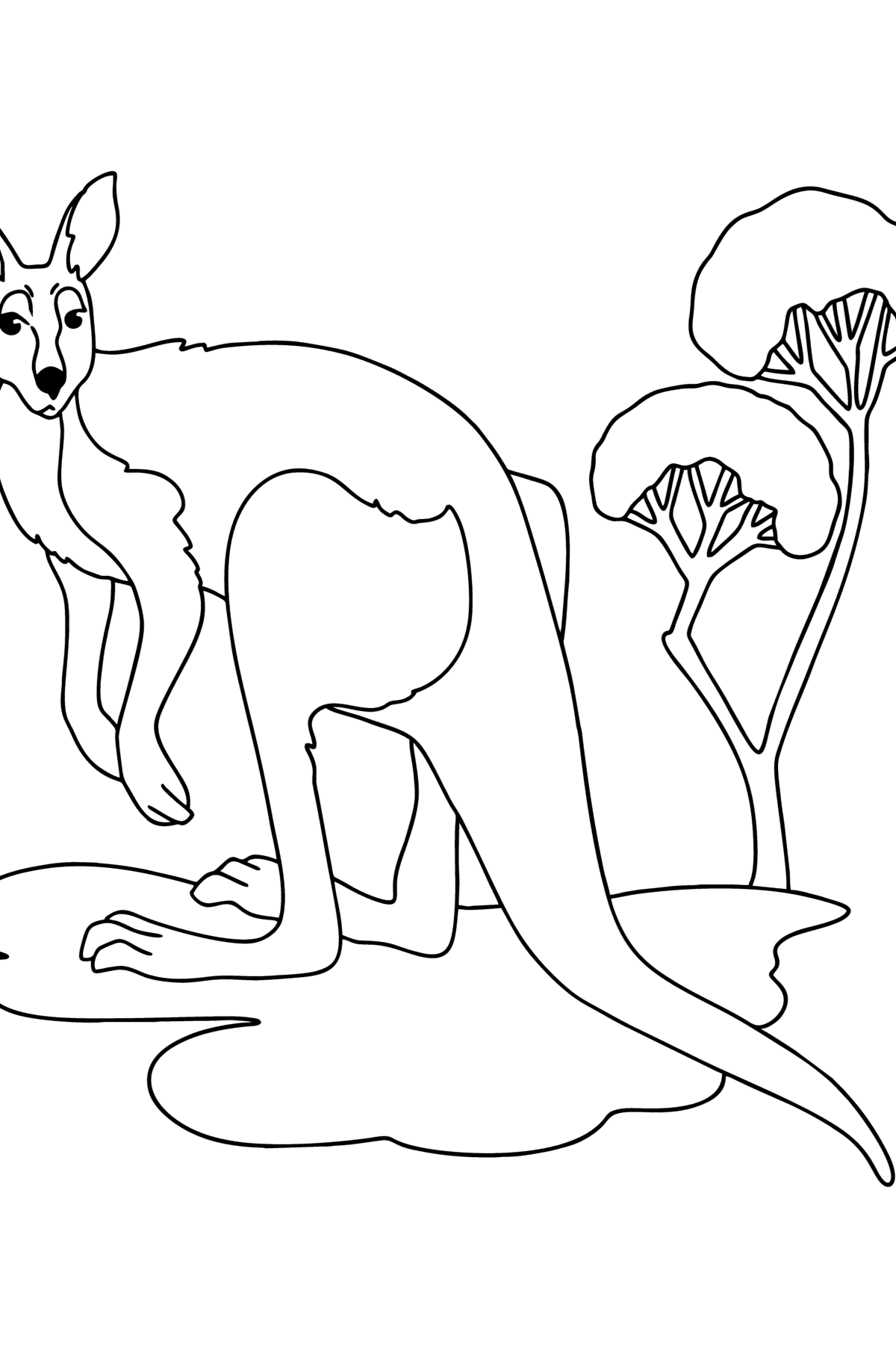 Tegning til farvning kænguru ser - Tegninger til farvelægning for børn