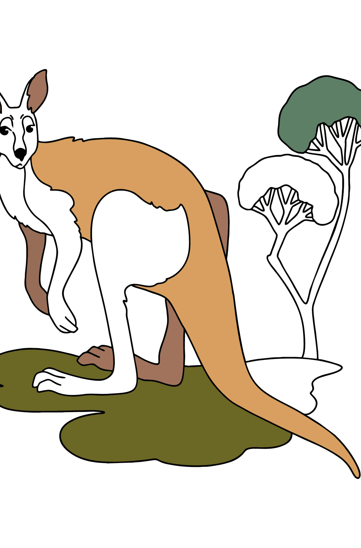 Kangur kolorowanka online - Kolorowanki dla dzieci
