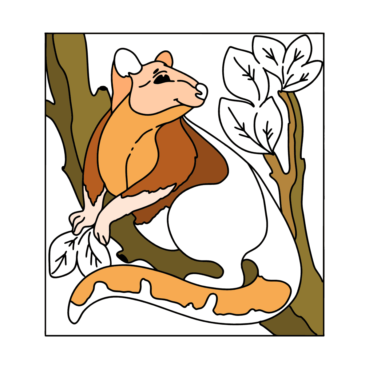 Coloring page - Tree Kangaroo ♥ Online and Print for Free!
