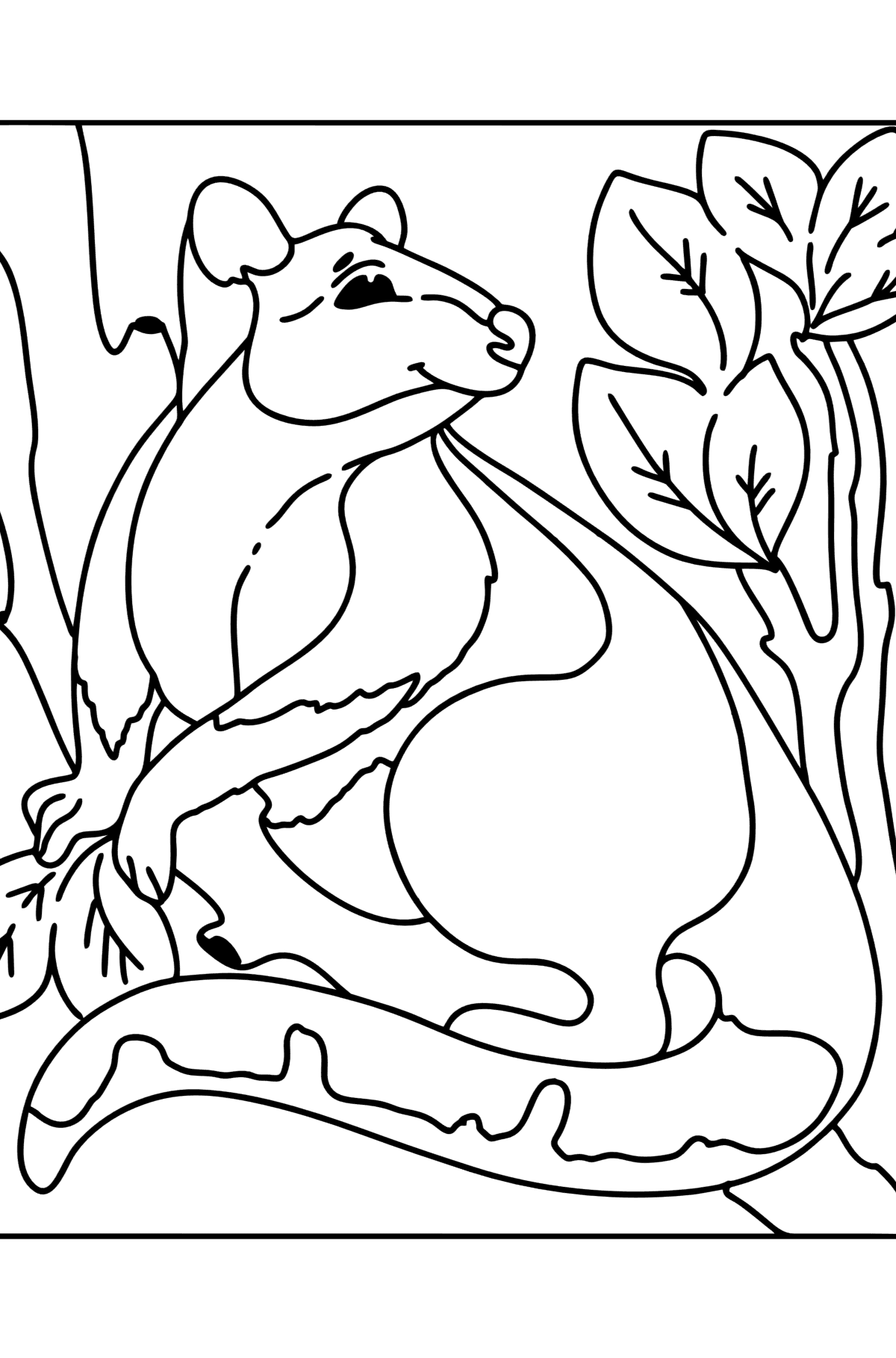 Tegning til farvning træ kænguru - Tegninger til farvelægning for børn