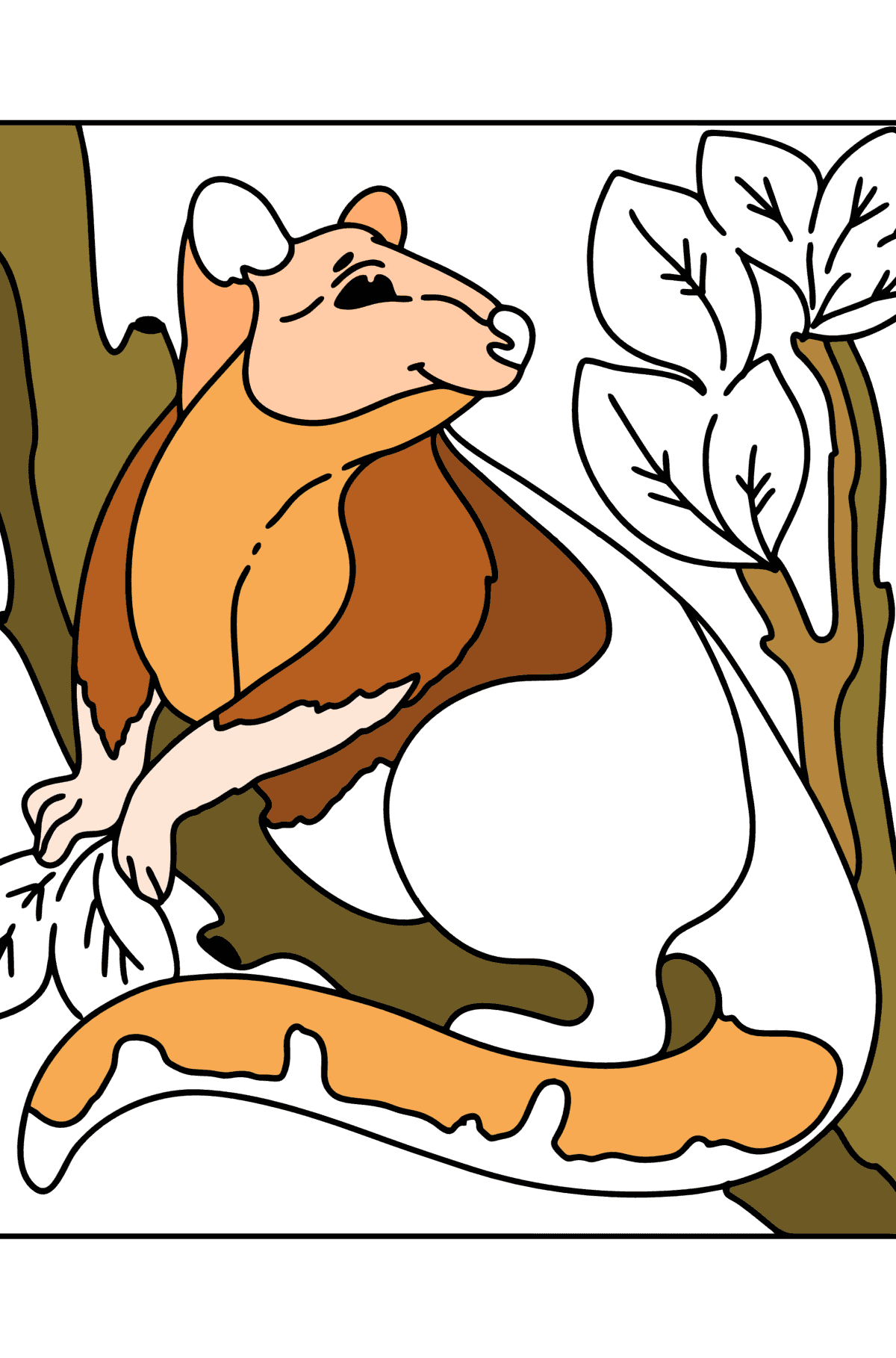 Раскраска Древесный Кенгуру - Картинки для Детей
