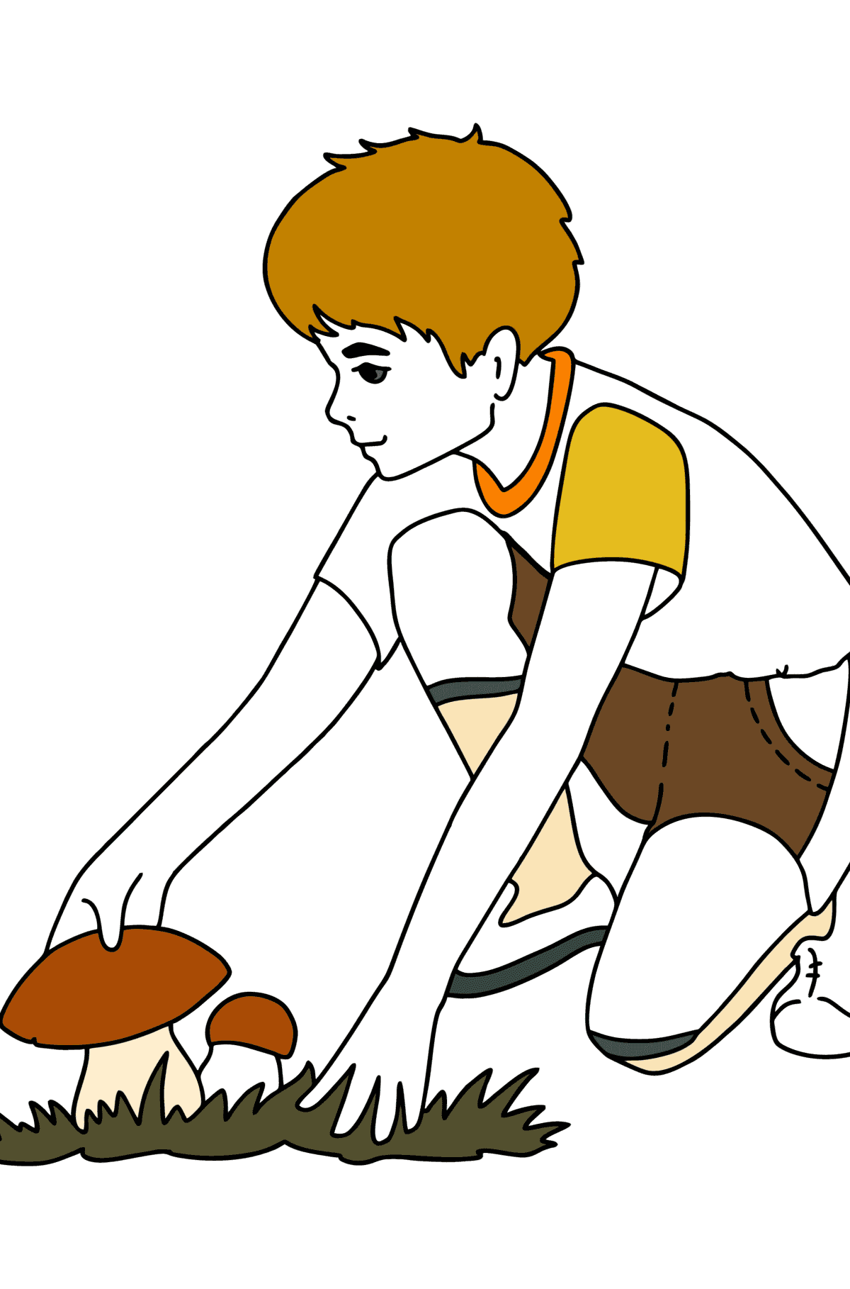 Värityskuva Poika poimimassa sieniä - Värityskuvat lapsille