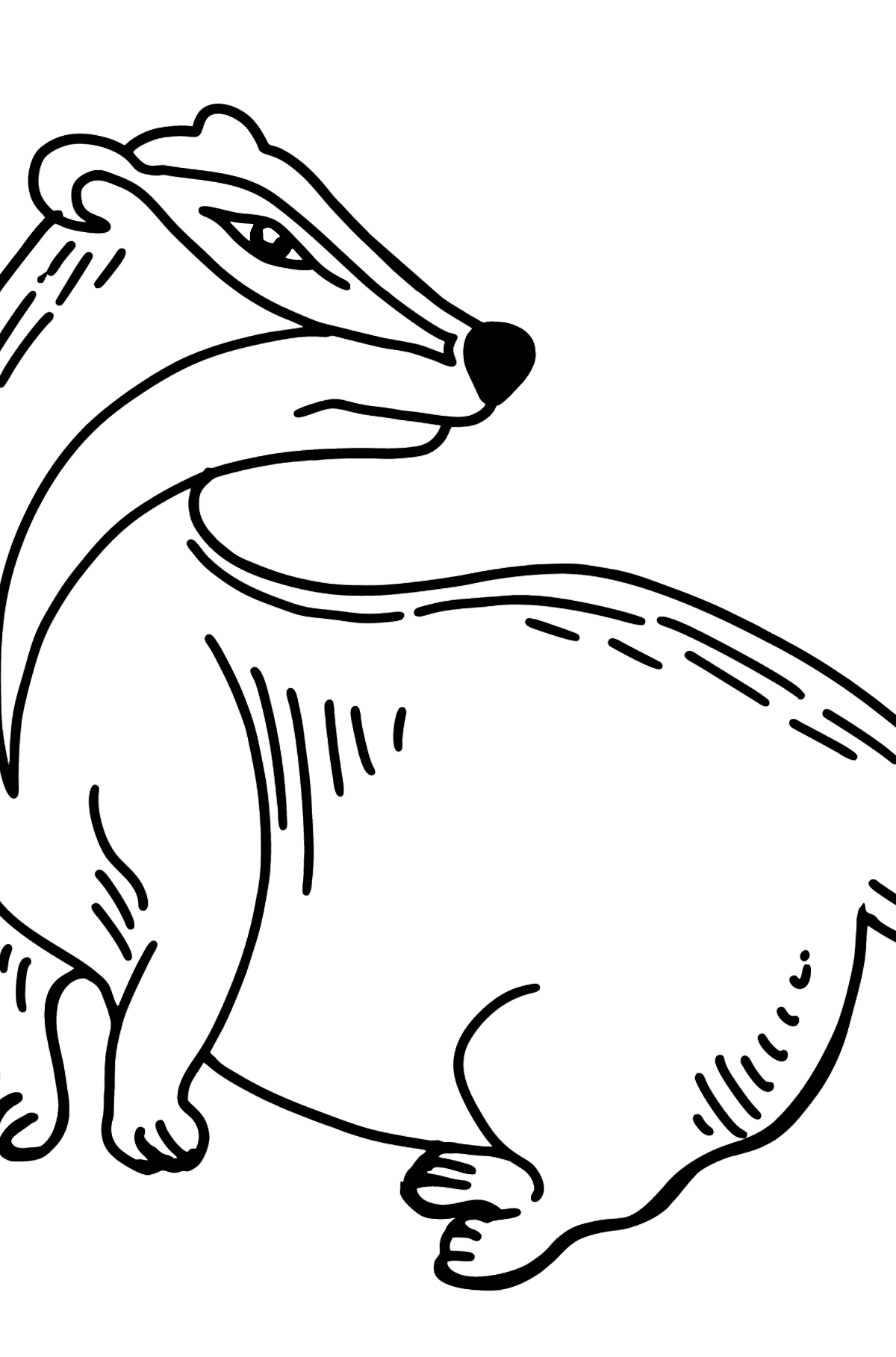 Badger coloring page - Coloring Pages for Kids