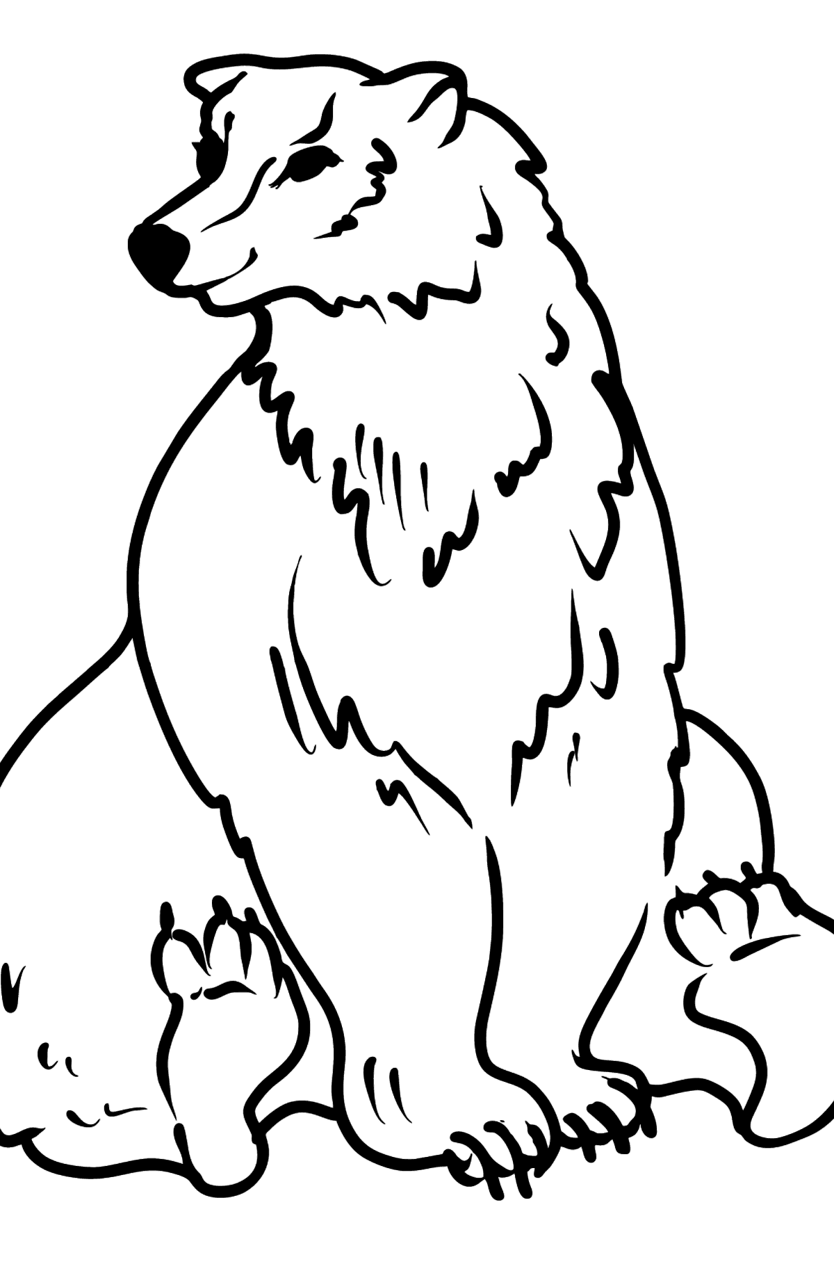 Раскраска медведь - Картинки для Детей