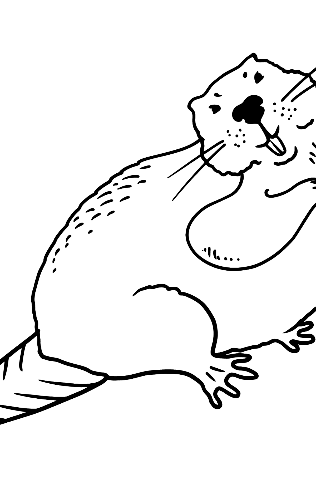 Beaver coloring page - Coloring Pages for Kids