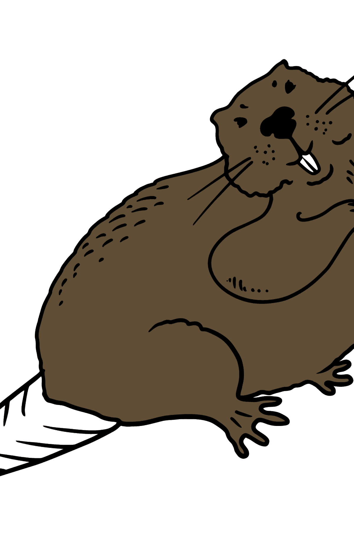 Beaver coloring page - Coloring Pages for Kids