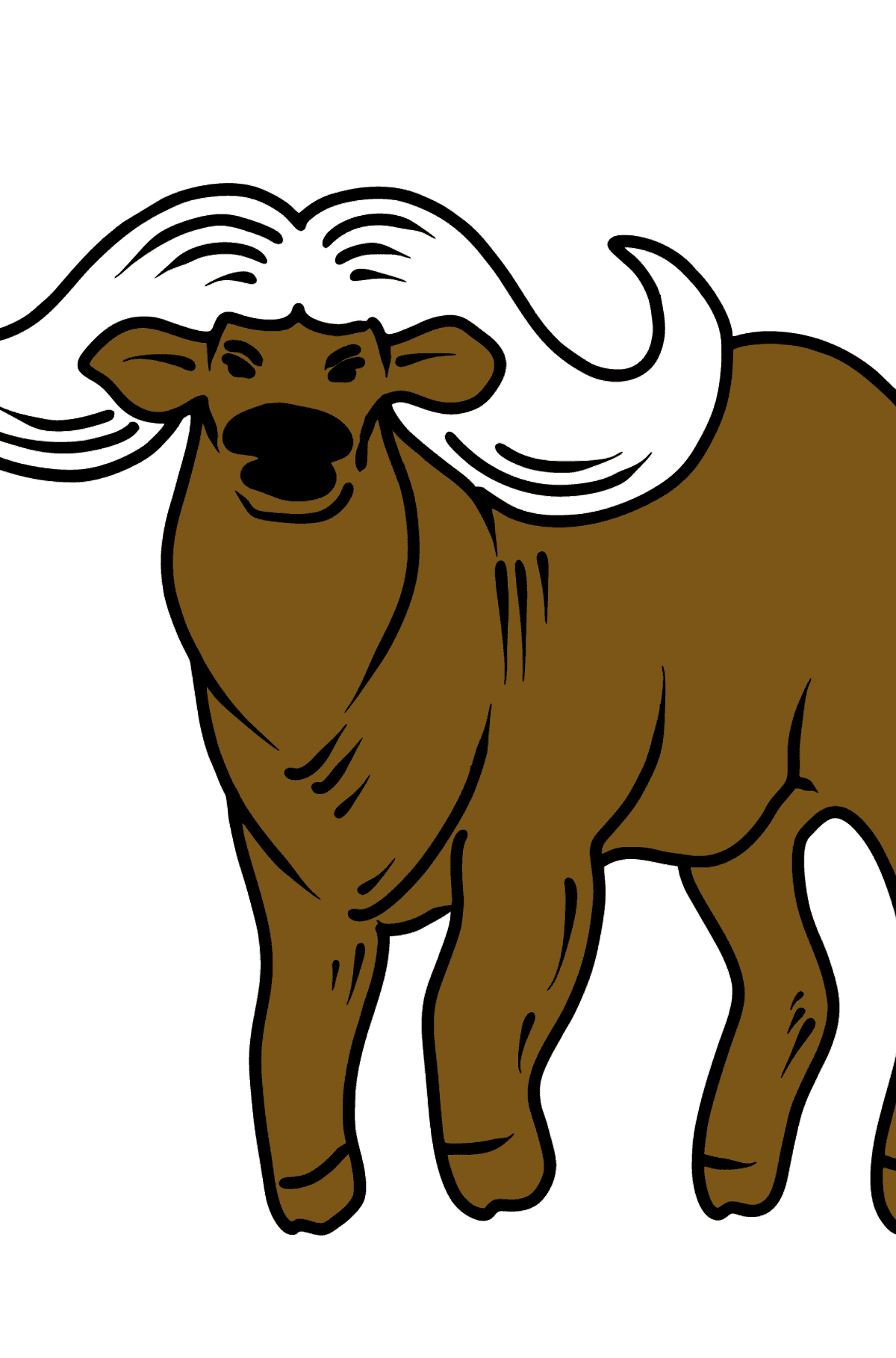 Buffalo coloring page - Coloring Pages for Kids
