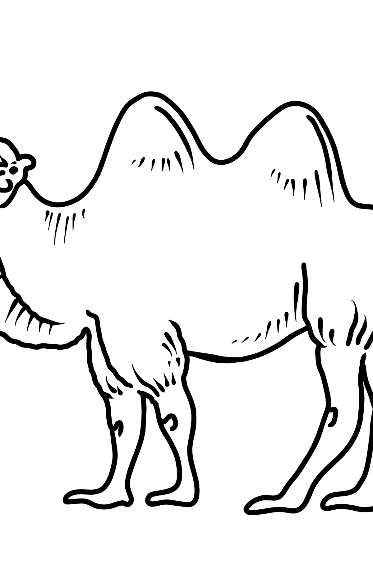 Kleurplaat kameel voor peuters - kleurplaten voor kinderen