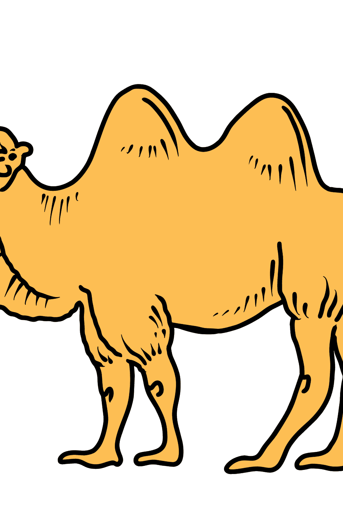 Dibujo de camello para colorear - Dibujos para Colorear para Niños